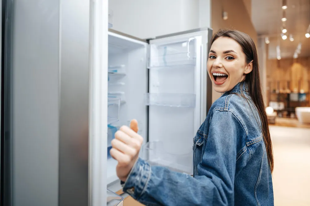 Eletrodomésticos Essenciais para Casa, Sala, Escritório e Cozinha 11 Eletrodomésticos Essenciais para a Casa