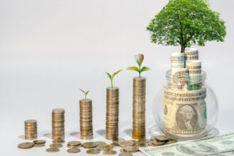 Independência financeira: caminhos para liberdade econômica 24 Independencia financeira