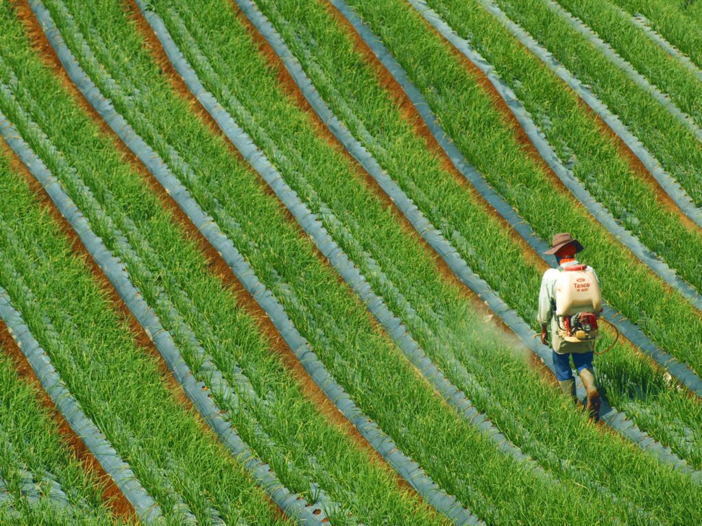 Rastreabilidade na cadeia do agronegócio