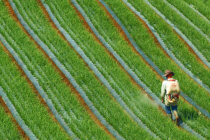 Rastreabilidade na cadeia do agronegocio