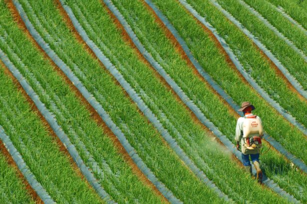 Rastreabilidade na cadeia do agronegocio