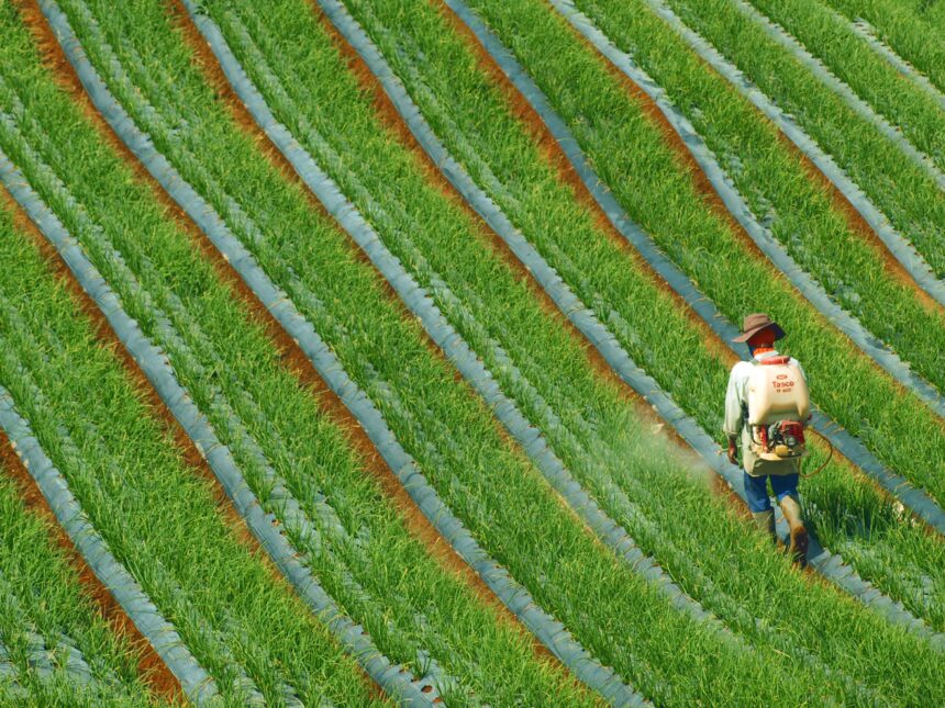 Rastreabilidade na cadeia do agronegocio